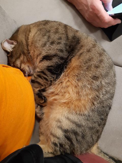20191201-215212.jpg