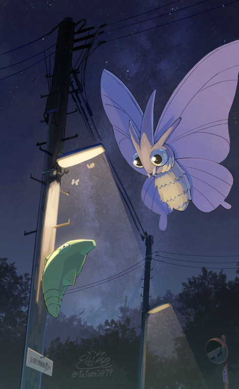 metapod-and-venomoth-pokemon-drawn-by-ta