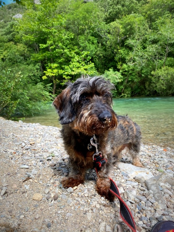 [Image: IMG-2143.jpg]