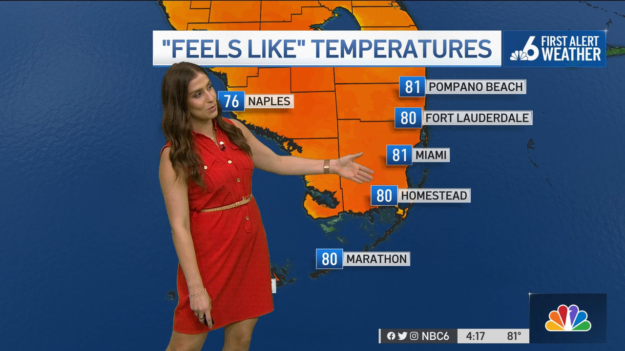 04.08 - 21.00.00 - NBC 6 News at 4 00 p.m..ts_snapshot_00.24.03.252
