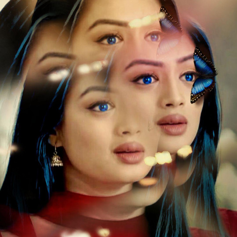 8a817c70-e6df-4baa-86ea-a6a18229b191