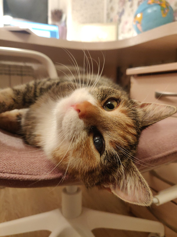 IMG-5e2ce593f385905d29cfeafb35e40ae4-V