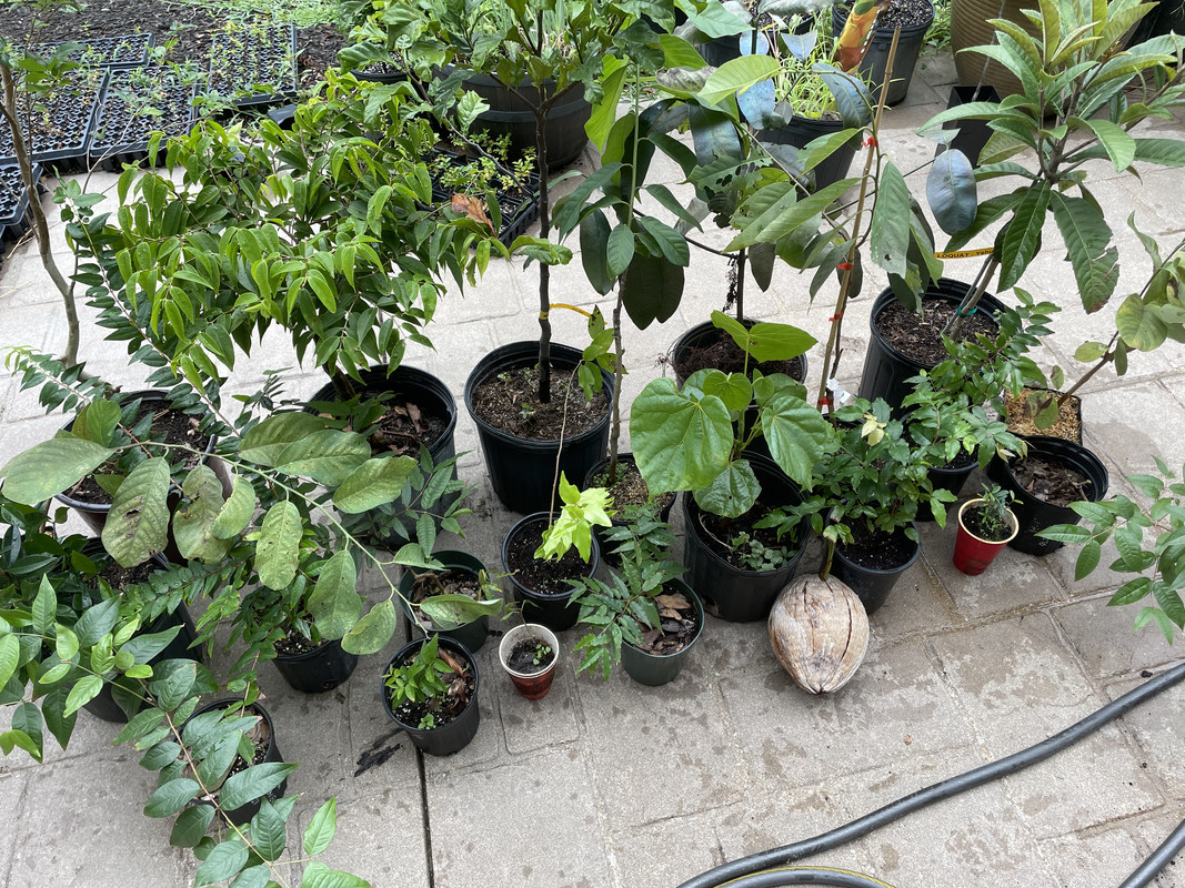 ADF9654C-6CD5-48D8-8300-2B6ED3CC3A6D