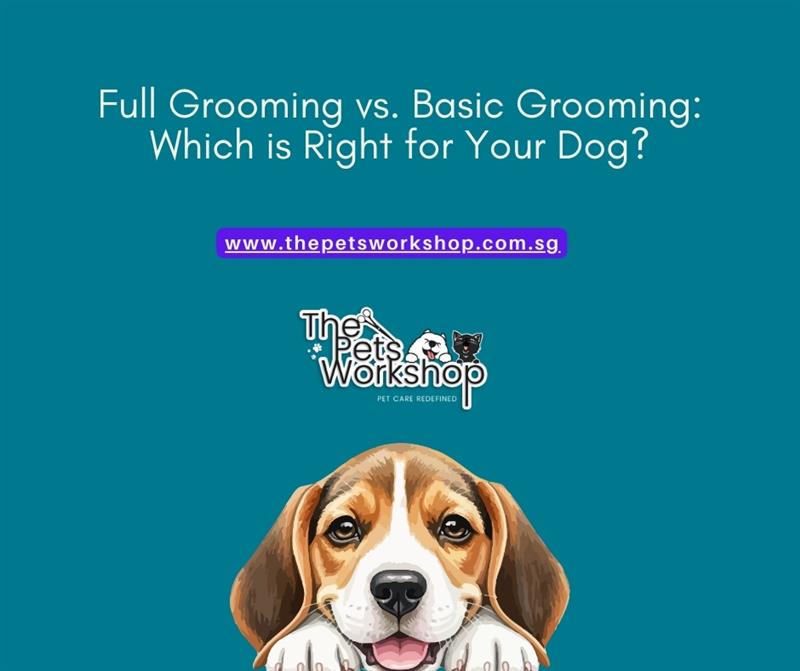 Full Grooming vs. Basic Grooming: Which is Right for Your Dog?-Pets Workshop