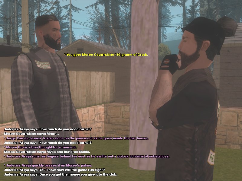 ds-2.png