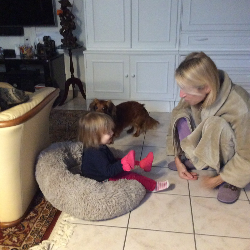 [Image: E285175-E-80-A0-4-D79-AA73-CD1-E0-E873-CC1.jpg]