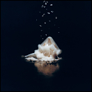 artwork-440x440-opt.jpg