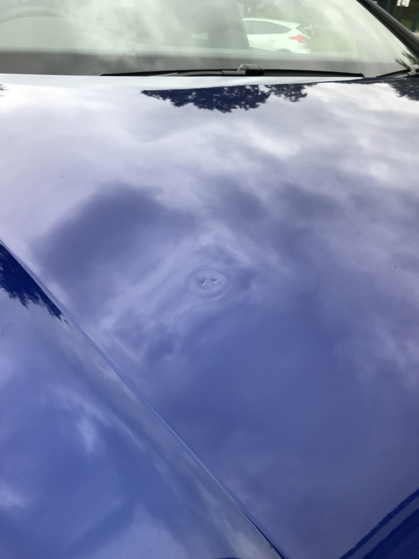 D5E867D8-428F-4AEF-9D82-AC0714F29500