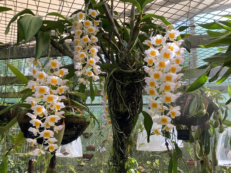 IMG_6436