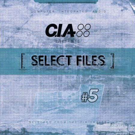 VA - Select Files 5 (2020) flac