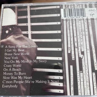 Richard Ashcroft: Alone with Everybody : CD