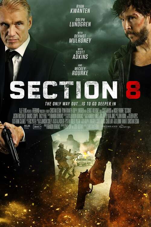Section 8 (2022) 109827