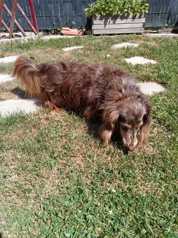 [Image: IMG-20250522-135841.jpg]