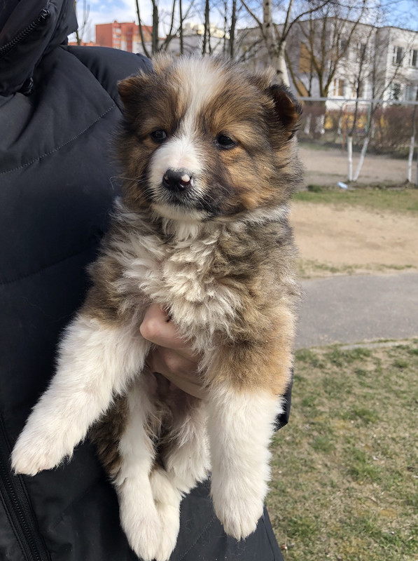 47834546-0665-4CD1-8E72-9E86F786248A