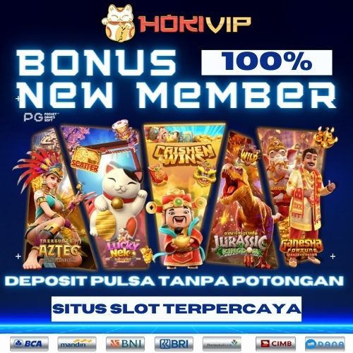 hokivip