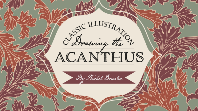 Classic Illustration - Drawing The Acanthus Classic Illustration - Drawing The Acanthus