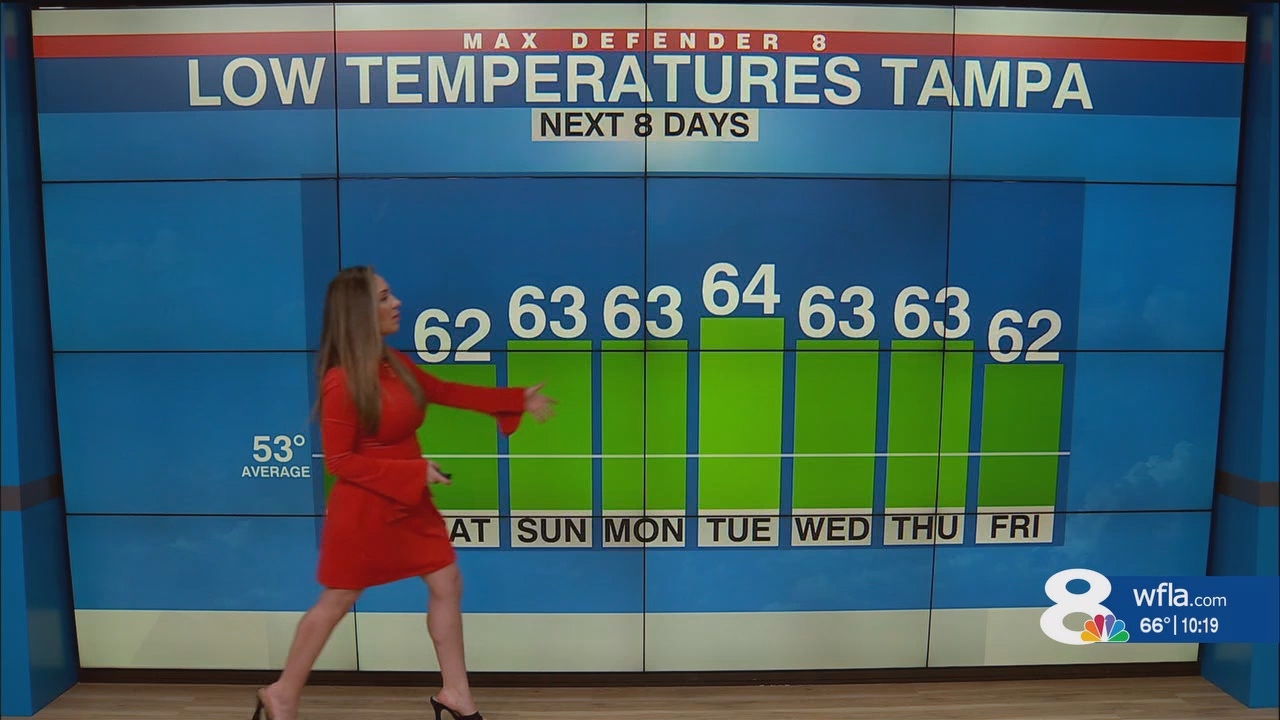 NewsChannel 8 News at 1000pm_20250131_03000330.ts_snapshot_19.48.956