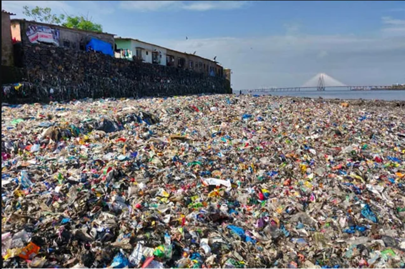 Beach before cleanup
