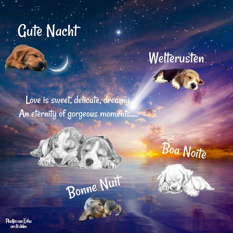 94B7BF1C-6D62-4CB5-92FD-EF18D5FFCFE6