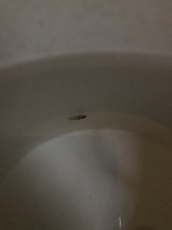 B3436F77-C1E8-45EF-8E72-1FC08F5ED9B0