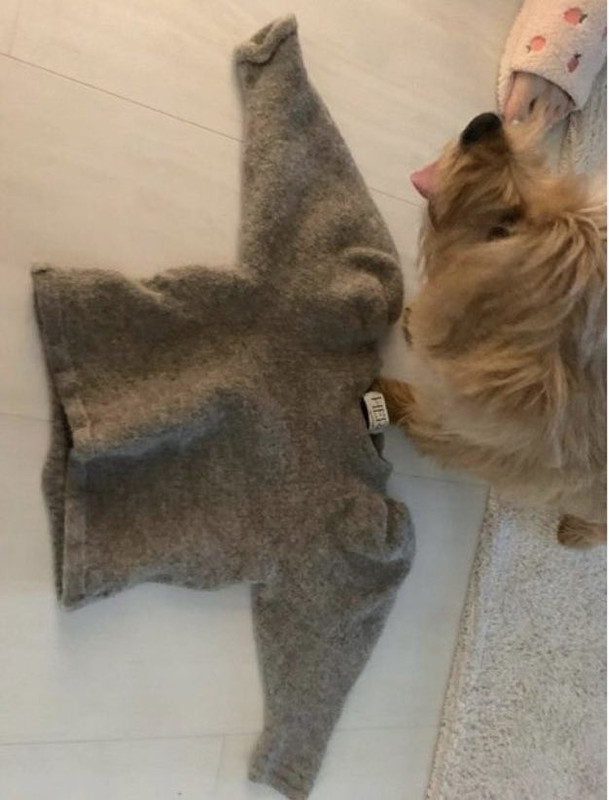 1E6D6319-53E8-44B9-8ADB-4463DB74A524