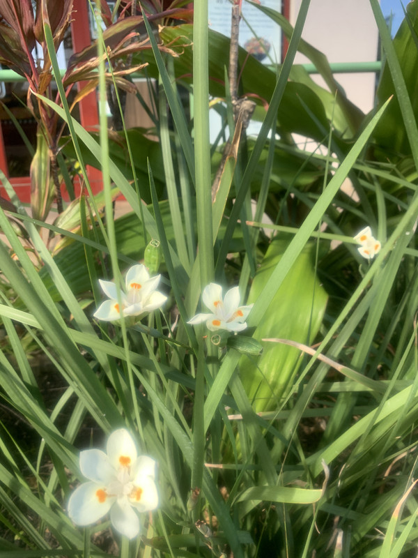 9211DF23-B4AE-46FC-9616-3DDB4FCB0065