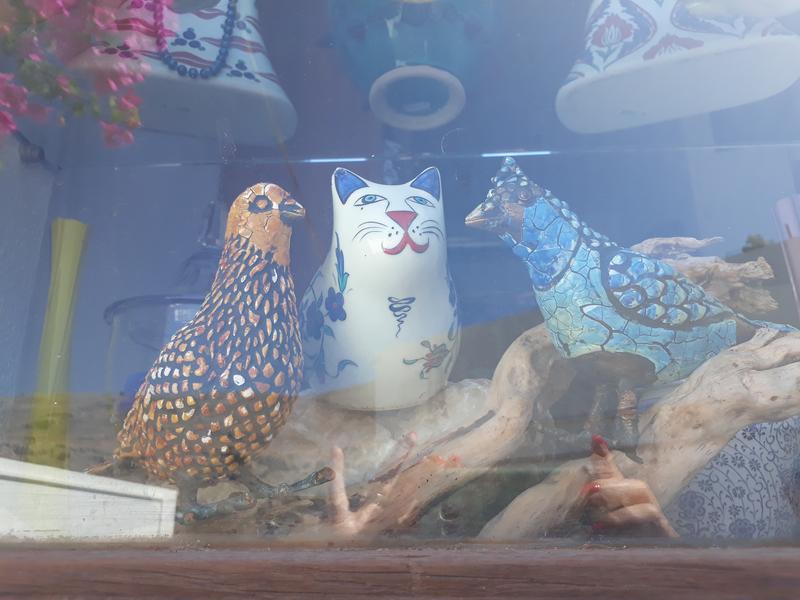 20191001-123820.jpg
