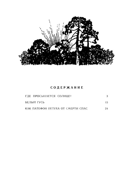 p0033
