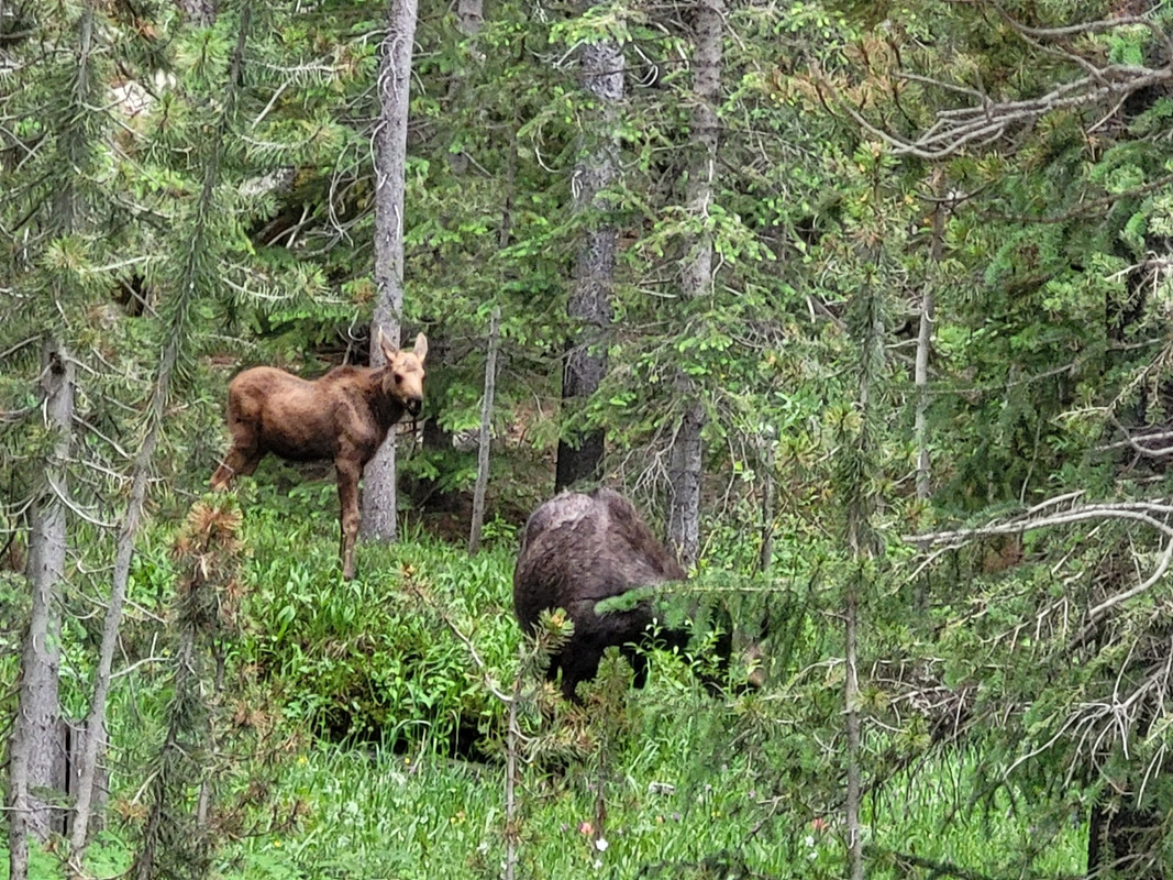 Resized_20240714_191505_1721010057233