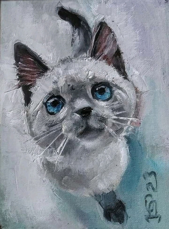 31