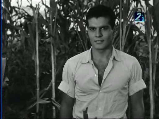 vlcsnap-2014-05-29-16h41m21s146