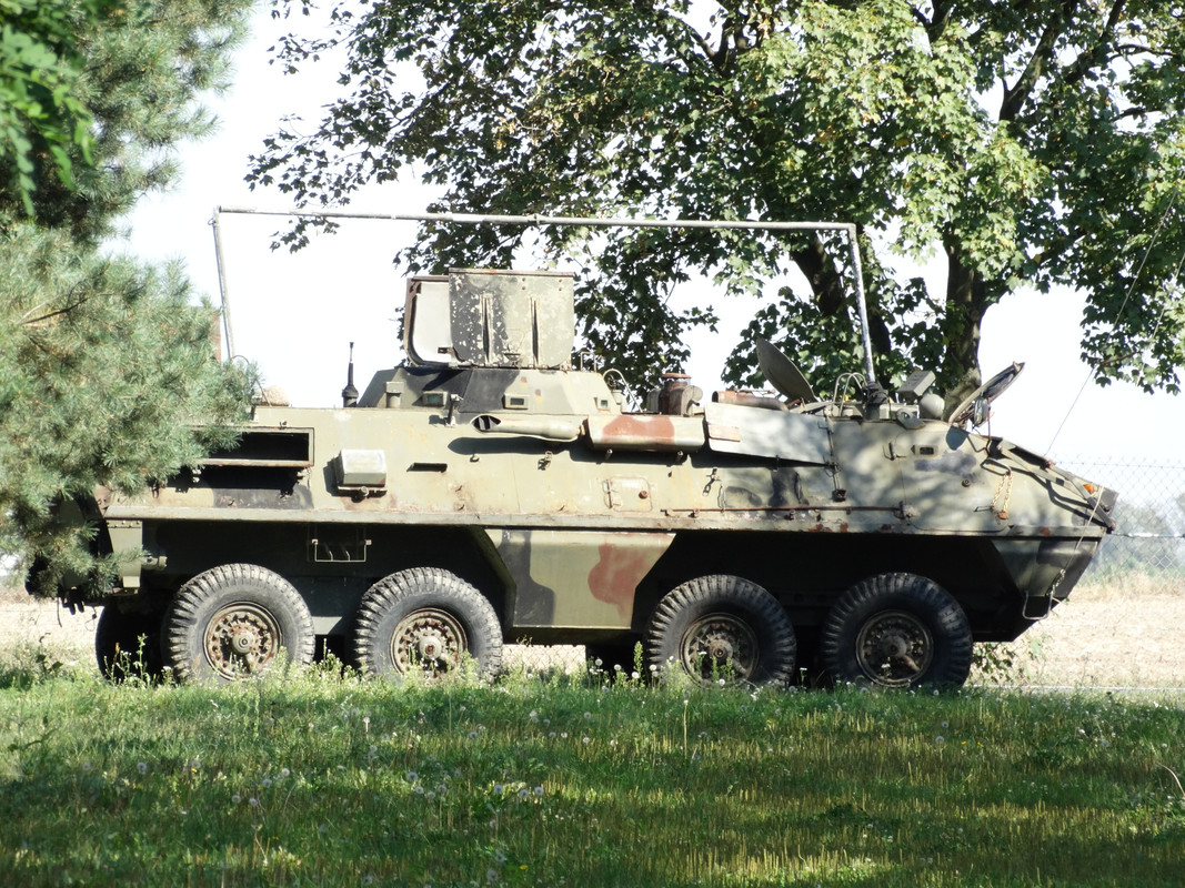 17.45 - DSC05874 (Czesio1)