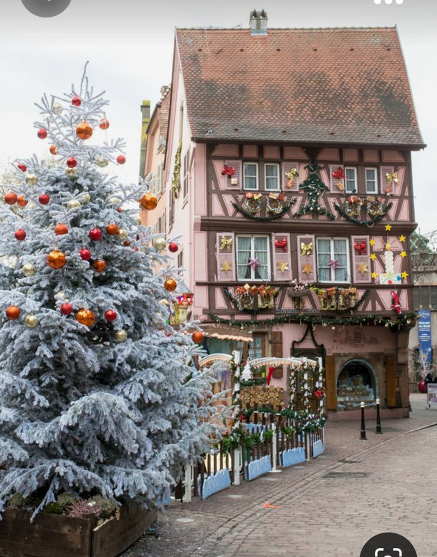 Screenshot_20231009_233617_Pinterest