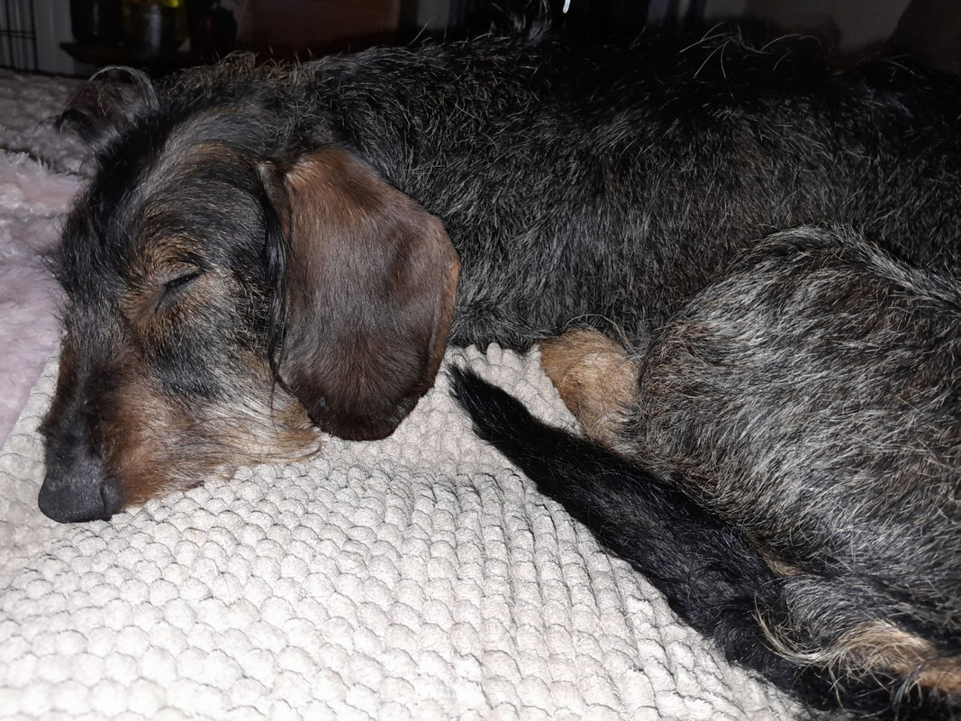 [Image: IMG-20240810-095010.jpg]