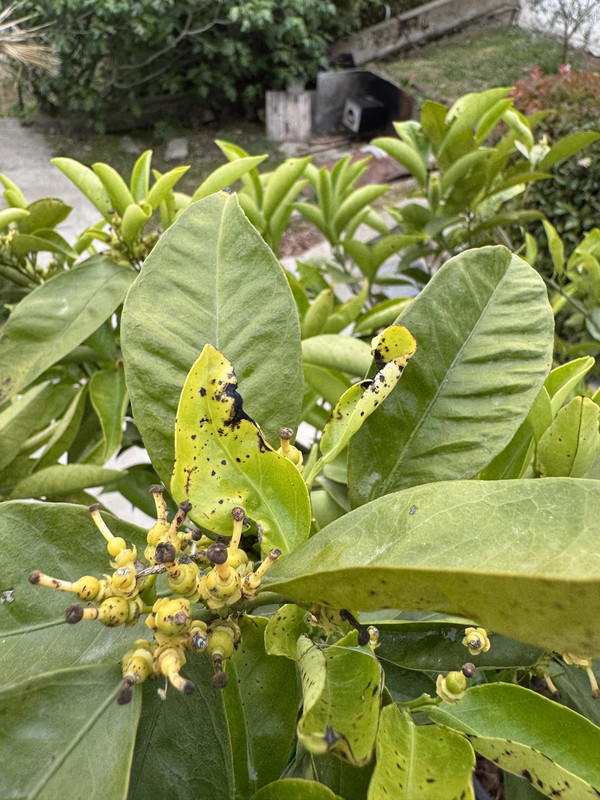 1C5B560A-9C98-4519-AC87-D1A32393131E