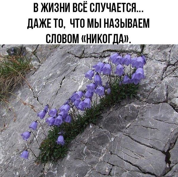 [Изображение: 91a550fbb05bd78cc3f25d78f33f4262.jpg]