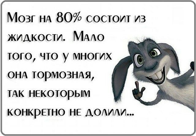 https://i.postimg.cc/g0vNqtjF/UID2069588-1639674503-98.jpg