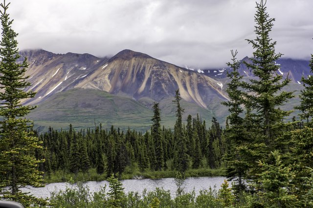 Denali hwy (1 of 1) - Copy