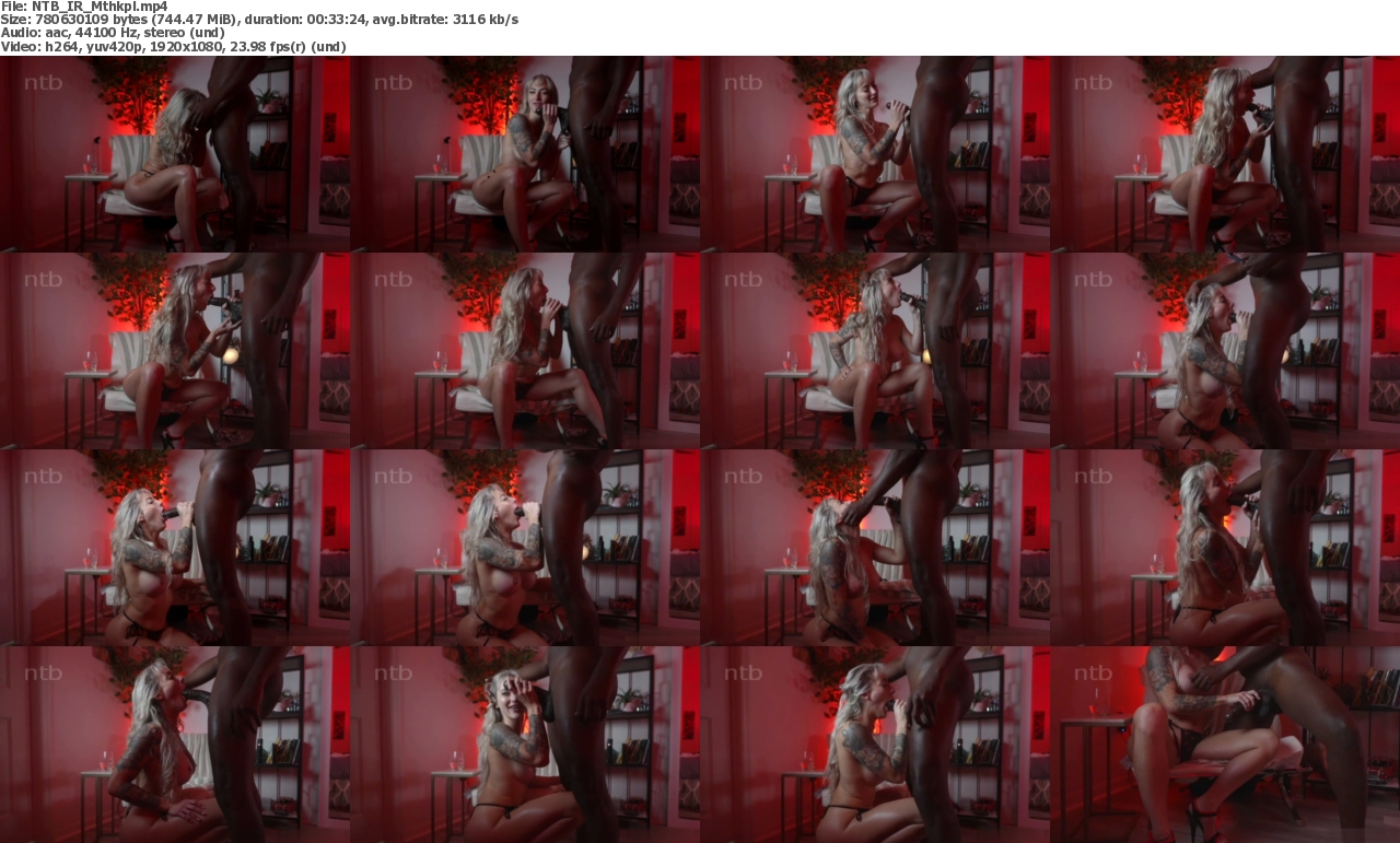 11032024115342screenshot