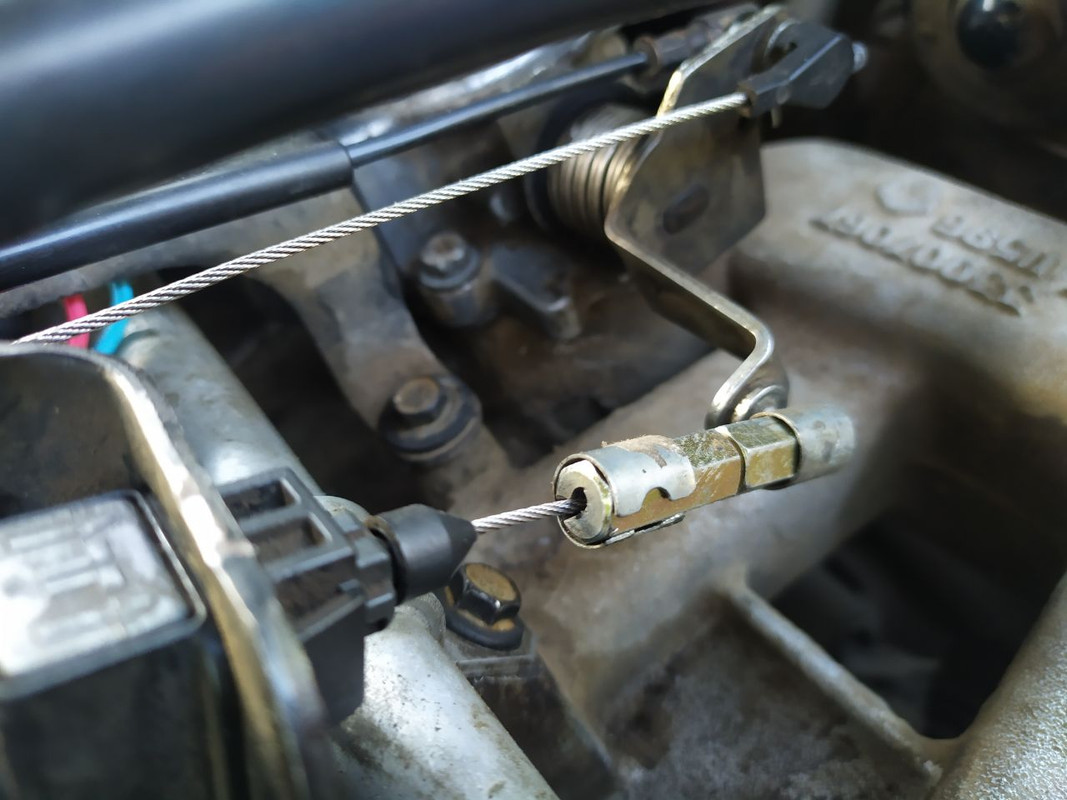 photo4925042396098570370