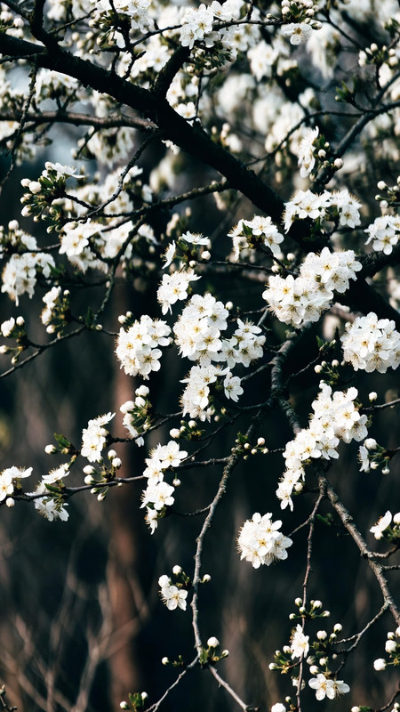 grok image 1773027465698