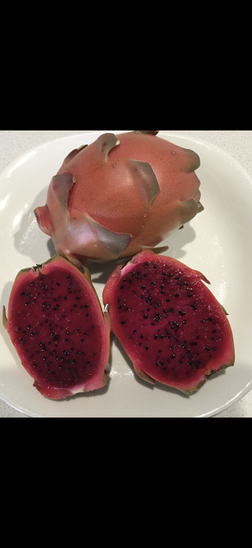 D5FC26F1-E7A5-4B8E-9805-2630082D167D