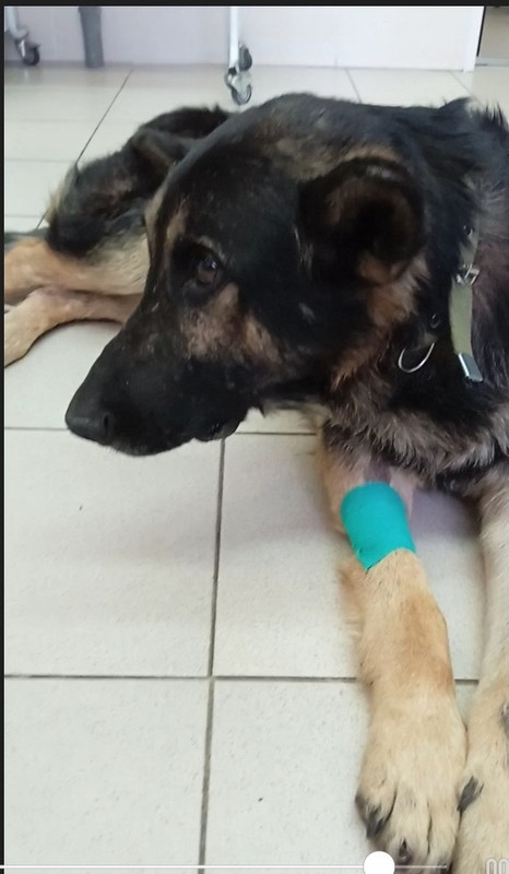 570FB70D-6674-4A6D-BA6A-EC31A69C4609