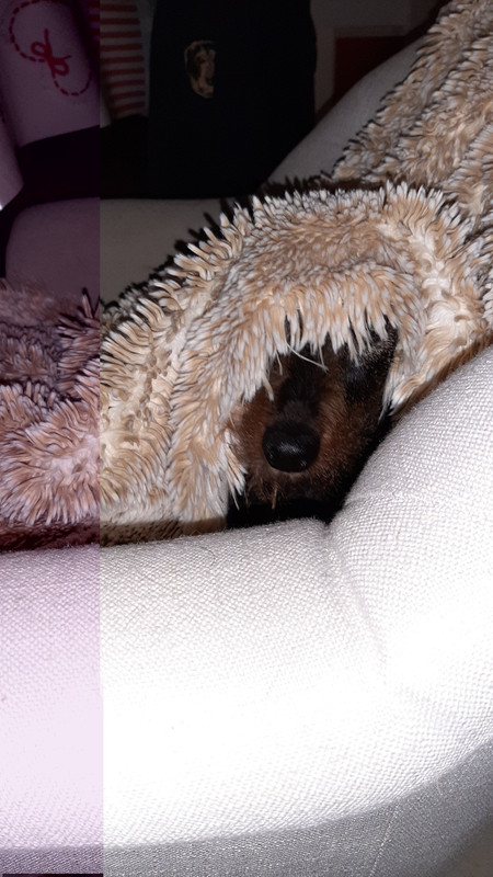 [Image: 7-02-2021-2.jpg]