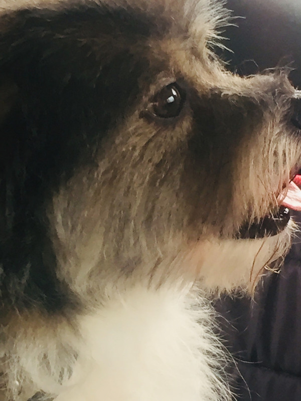 DDFEC0E8-933A-48E5-948F-0BB6F5D7C169