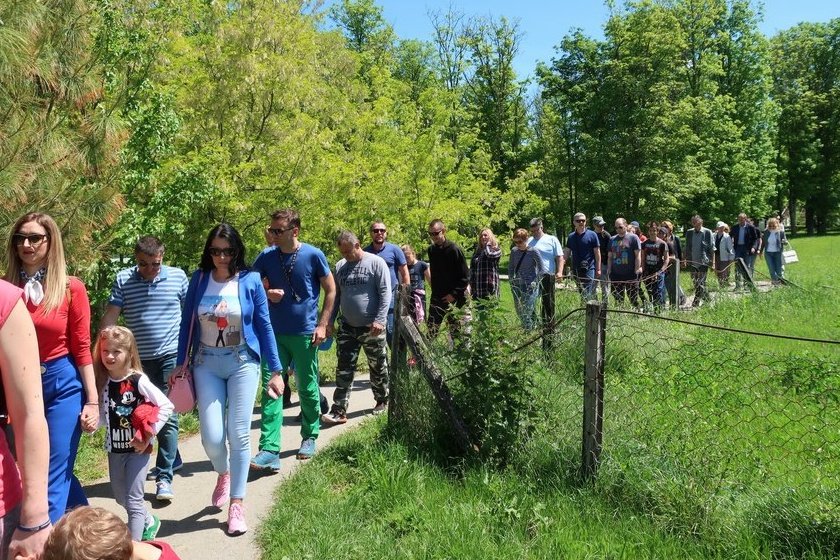 Zmixijada2019