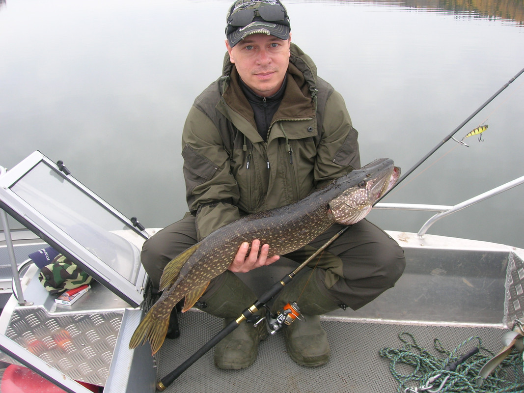 43 1 Мальков Дмитрий джиг спиннинг судак щука мастер-класс Куляпин Андрей обучение рыбалка троллинг 