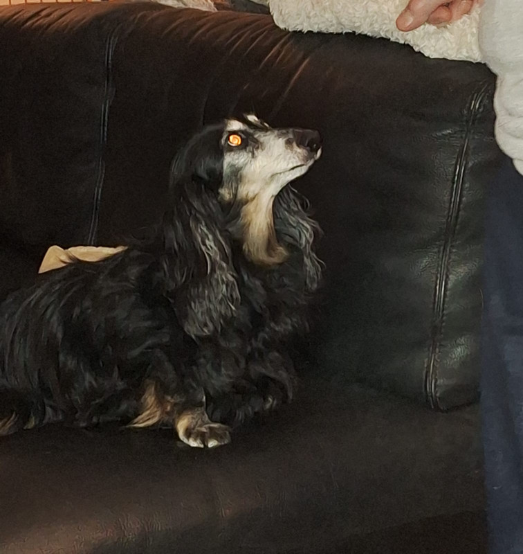 [Image: IMG-20231205-WA0001.jpg]