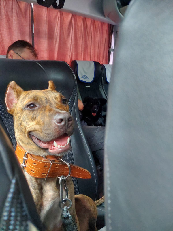 20118FED-0CC0-40C2-B509-FDAD09E3EBDC