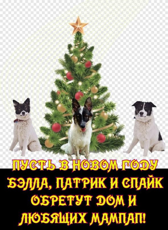 IMG-20241231-WA0143.jpg